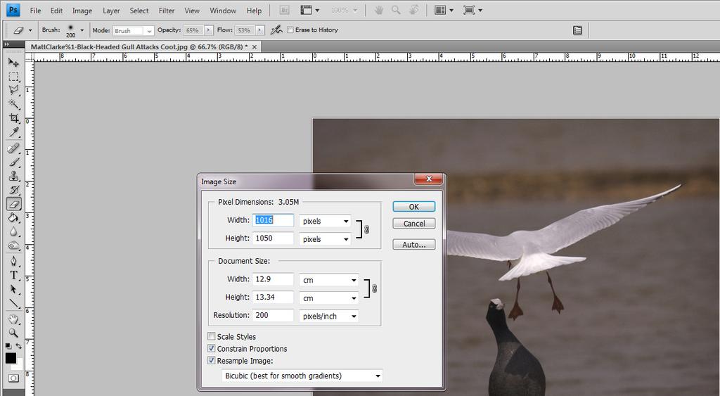 Select <Image> (menu) then <Image Size> Resize the image, using the "Pixel Dimensions" "Width" and "Height" boxes.