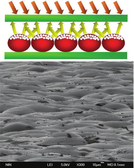 Antennas and Propagation (a) (b) Figure : Schematic illustration with different surface morphology and corresponding SEM images of material display film. VCC S S U?