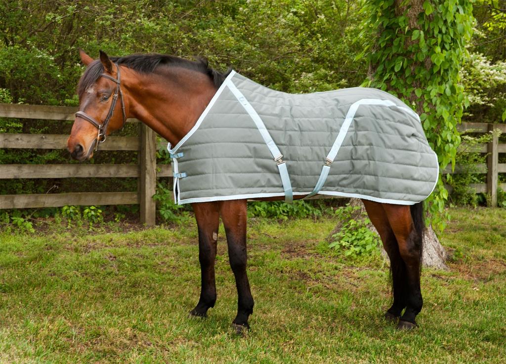 Strictly Horse! 6 Quilted Stable Blanket - #BK1 by Integrity Linens The quilted stable blanket is one of the basic pieces to have in your collection.