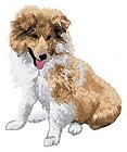 Dj810 - Shettland Sheepdog 5 (Sheltie) 10 colors / 11 thread changes Sizes (inches): 2.95; 3.35; 3.74 " height Sizes (cm): 7.5; 8.5; 9.5 cm height Stitches: 9400; 10600; 12000 Collection: 2018/1 1.