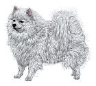 Dn822 - German Spitz 8 (white body) 6 colors / 6 thread changes Sizes (inches): 2.11; 2.51; 2.90 " height Sizes (cm): 5.4; 6.4; 7.4 cm height Stitches: 7000; 8400; 10100 1.