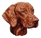 Dt814 - Vizsla (Hungarian Pointer) 4 7 colors / 7 thread changes Sizes (inches): 2.17; 2.56; 2.95 " height Sizes (cm): 5.50; 6.50; 7.50 cm height Stitches: 9500; 11000; 12700 1.
