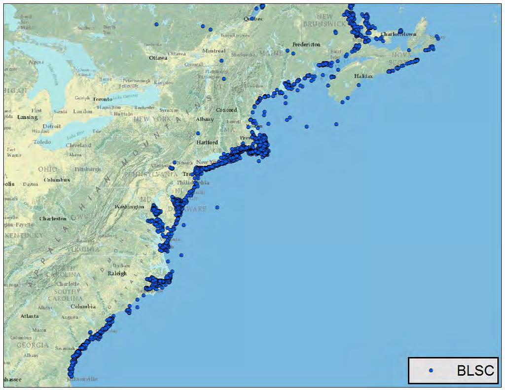 Figure 10. Location of wintering areas for 7 adult male and 27 adult female black scoters marked during spring migration at Chaleur Bay, New Brunswick/Quebec and Narragansett Bay Rhode Island.