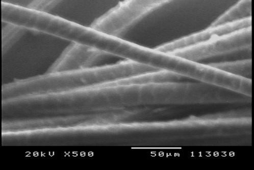 SEM images showed that untreated wool fiber was rough and scales were