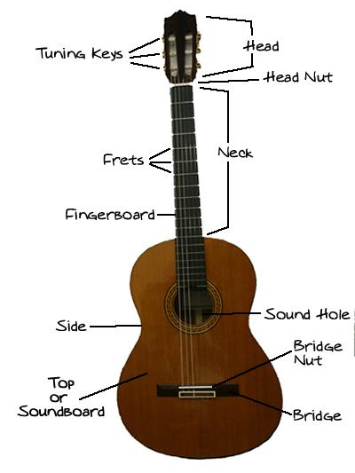 The Anatomy of the Guitar Get familiar with your instrument.
