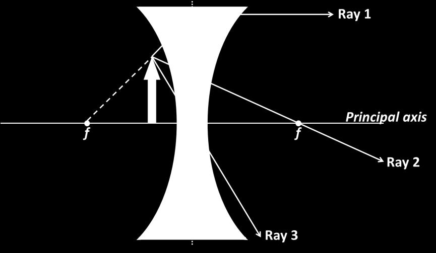 The next four questions pertain to the following situation: An object is placed 3 cm in front of a diverging lens of focal length f = 8 cm. 12. Identify the correct principal ray in the above sketch.