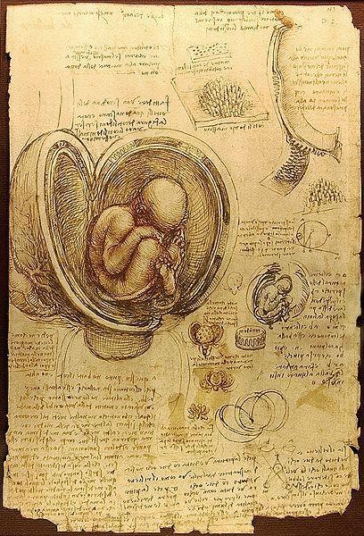 Leonardo da Vinci s study