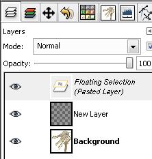 Click the Background Layer in the Layer dialog to make it active.