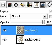 The keys are now part of the new layer Drag the Background Layer to the bin or