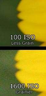 without its setbacks. The higher the ISO is set, the grainier your picture will appear. At higher ISOs, you will notice some extremely substantial grain.
