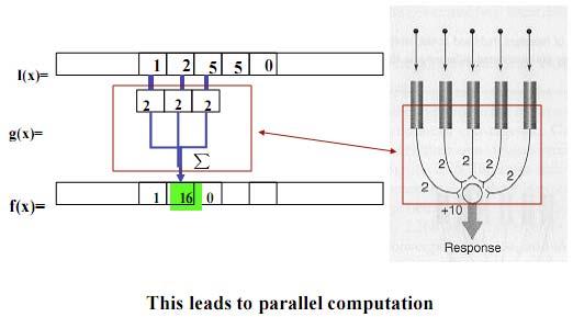 Linear Functions Simple Neural Network