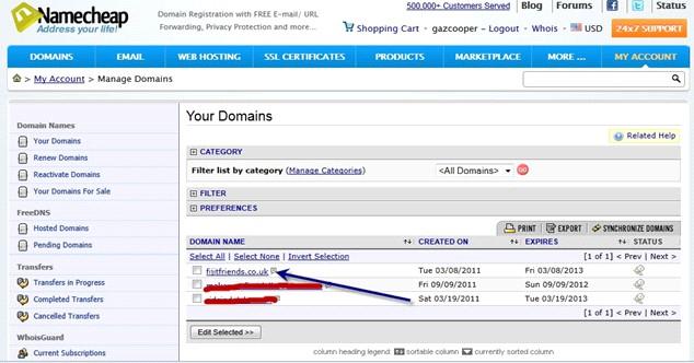 The next step is to click on the Number of domains in your account.