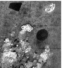 Survey of a World War II Derelict Minefield with the Fluorescence Imaging Laser Line Scan Sensor Dr. Michael P.