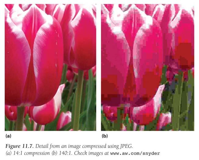 Compression JPEG Changing the representation to use fewer bits to store or transmit information Example: fax is a long sequence of 0's and 1's encoding where page is white or black.
