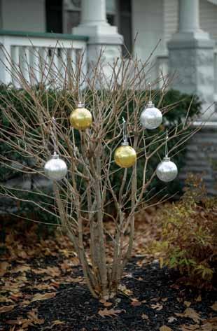 Illuminated Outdoor Ornaments Battery Operated Weatherproof LED Lights Decorative