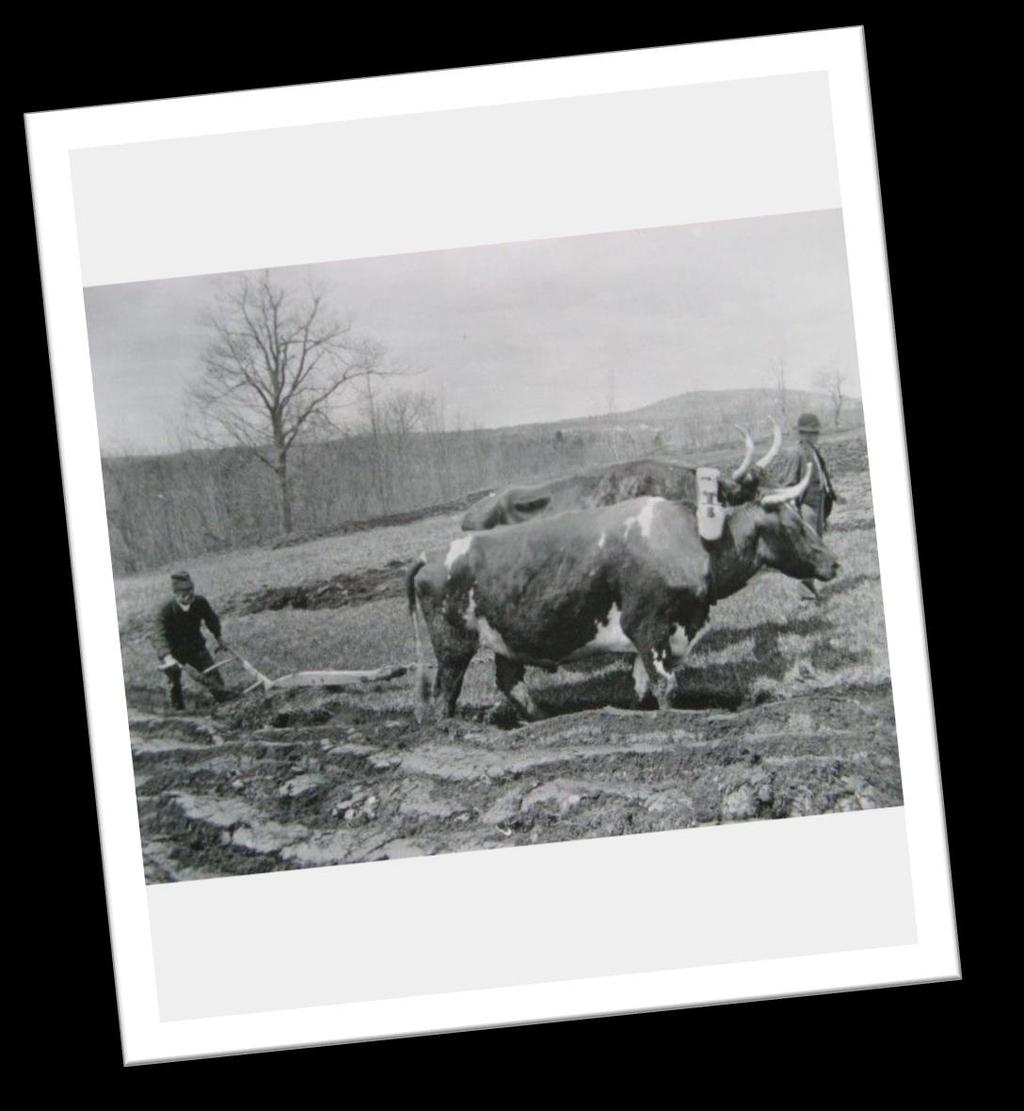 Steel Plow John Deer s plow made tilling soil much easier and