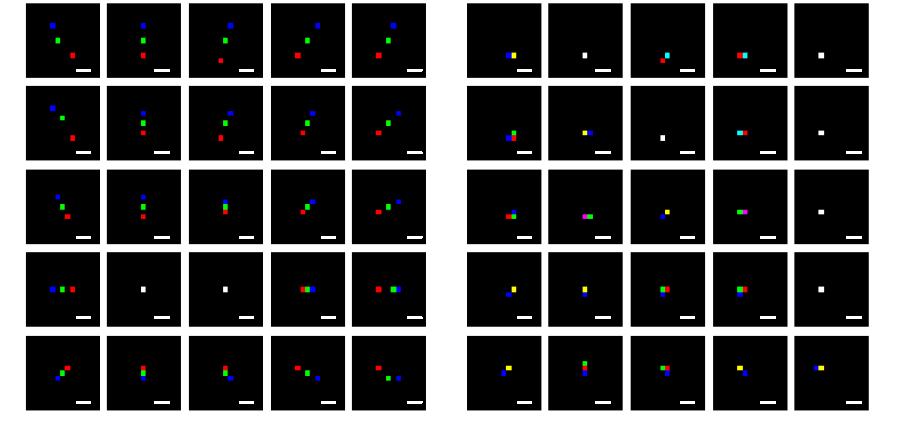 Optical Offset Evaluation and Correction (1) Add Tetraspeck beads (or similar) with dyes of appropriate wavelengths using the same type of glass as the sample.