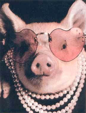 You can dress up a pig but it s still a pig.
