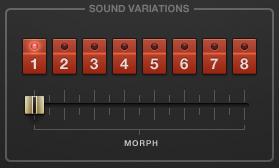 SYNTH Page 2.1.7 SOUND VARIATIONS Section Each preset captures the character sound of the original instruments, but also has eight integrated Sound Variations.