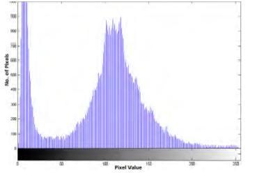 Fig.2 Original Histogram Fig.3 Shifted Histogram D. EXTRACTION At last predictive error values are calculated for embedded image.