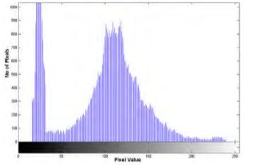 Then shift the values to convert binary sequence to get secret image. VI. CONCLUSION The proposed use of Reversible watermarking based on prediction error histogram shifting technique.