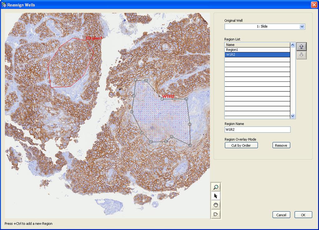 10 New Features 2 Analysis Software 2.1 Reassign Wells In some cases, especially for histological samples, it may be of interest to define special regions within one well (e.g. tumor and healthy tissue).
