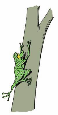 L E S S O N A frog climbed up a tree 20 m tall. Each day, the frog climbed up 4 m. Each night, it slid back 2 m.