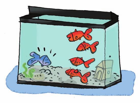 A fish tank contains rainbow fish and goldfish. The ratio of rainbow fish to goldfish in the tank is : 4. What percent of the fish are rainbow fish? out of 5 fish are rainbow fish. 5 0.20 And, 0.