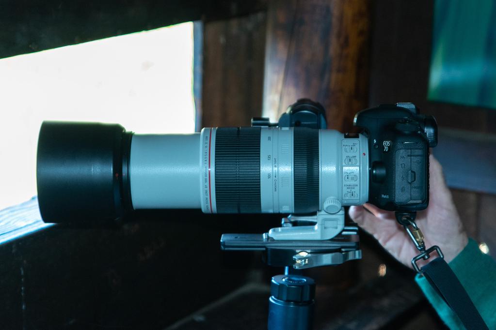 CANON EF 100-400MM F/4.5-5.6L IS II USM This is the lens I probably see the most amongst our Canon birding photographers, and that speaks for itself.