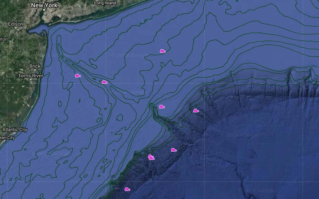 Whale Locations 2017-2018 Whale Species