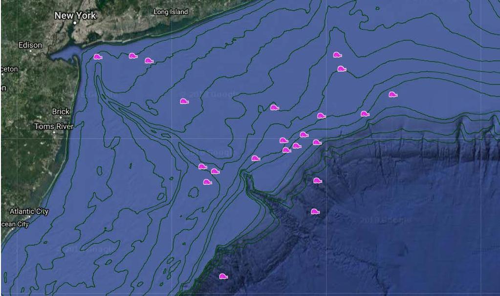 Whale Locations 2016-2017 N A