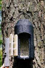 Tree-Mounted Bat Boxes: Because there is no evidence of a significant roost of bats at the site it is considered that the use of bat box units is acceptable as a temporary replacement for existing