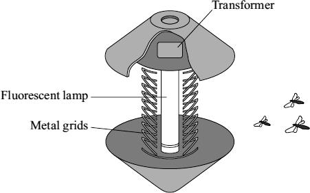 The diagram shows the inside of one design. Insects are attracted to a fluorescent lamp.