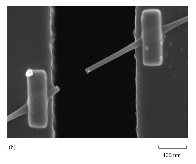(b) secondary fracture of the tested nanowire sample.