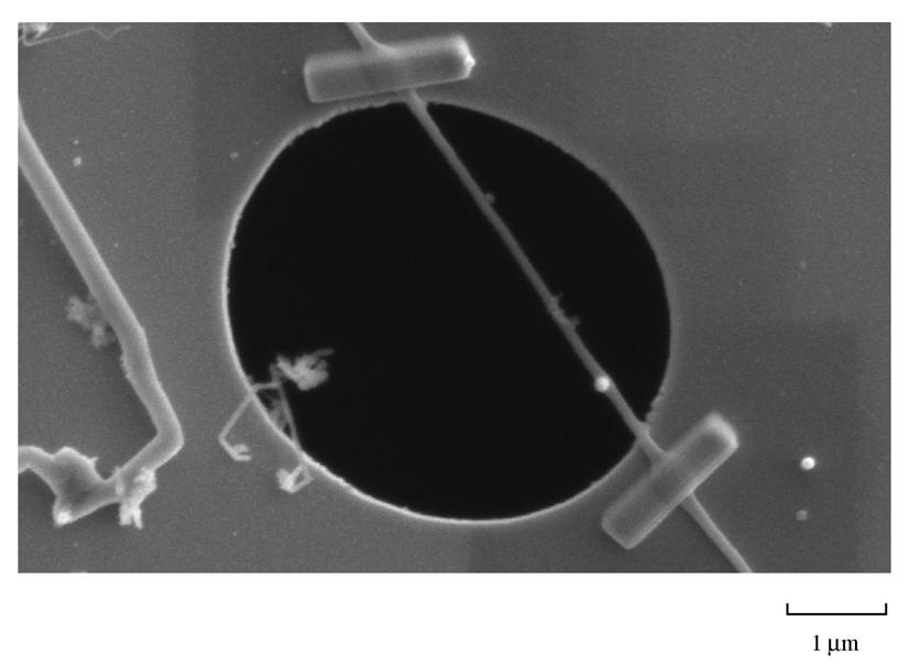 The silicon nitride membrane was sputter coated with a 2 nm gold-palladium film (Denton Vacuum Desk IV) to eliminate charging under the electron microscope.