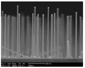Background One-dimensional semiconducting nanowires