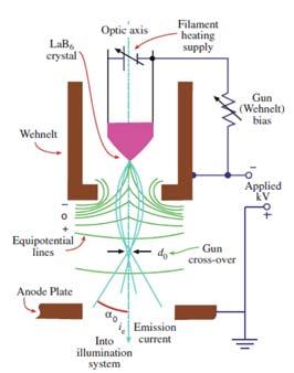 Electron guns Thermionic emission Transmission Electron Microscopy: A