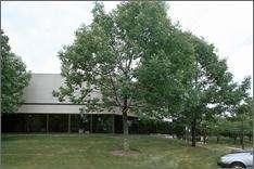 240 Hassell Rd Northwest Tech Centre Hoffman Estates, IL 6095 0,279 SF $8.00/nnn 7,36 SF 2 AC Expenses: 2005 Est Tax @ $3.02/sf; 2005 Est Ops @ $.63/sf Parking: Free Surface Spaces; Ratio of 4.