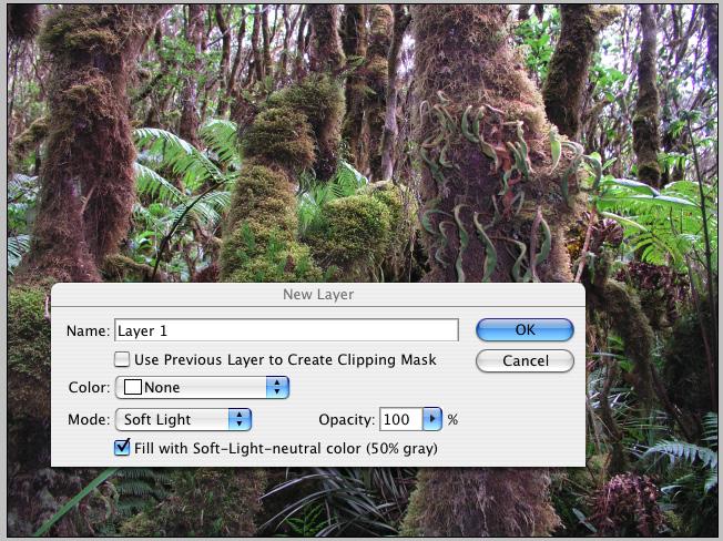 5. Image Enhancement A wide range of tools are available in Photoshop to enhance your image. Chief among these tools are dodging and burning (making selected areas of your image lighter or darker.