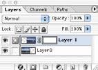 Click the Add Layer Mask icon at the bottom of the Layers palette. A layer mask appears next to the thumbnail of the layer in the Layers palette.