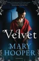 This gripping historical novel tells the story of orphan Velvet, plucked from a steam laundry to work for Madame Savoya, a famed medium.