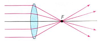 Different Lenses, Different Purposes Lenses work under the principle of refraction.