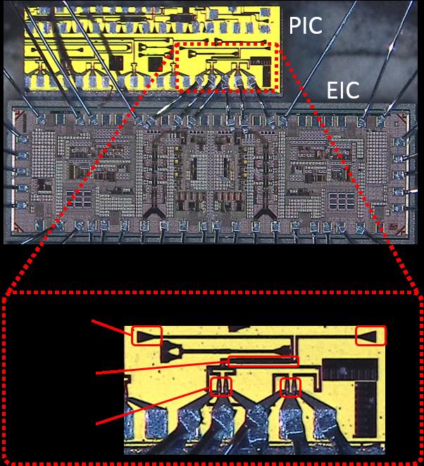Methods, Assumptions, and Procedures The photonic integrated circuit (PIC) is realized in imec s isipp25g platform and is shown in Fig 1.