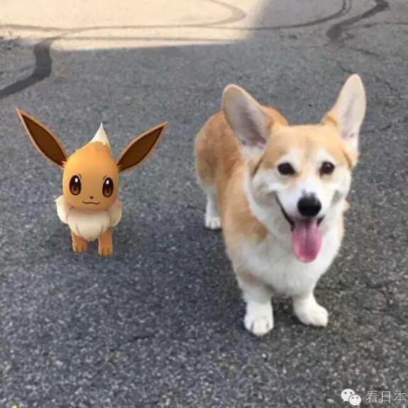 PokemonGO,a AR based game developed by Nitendo and Niantics The