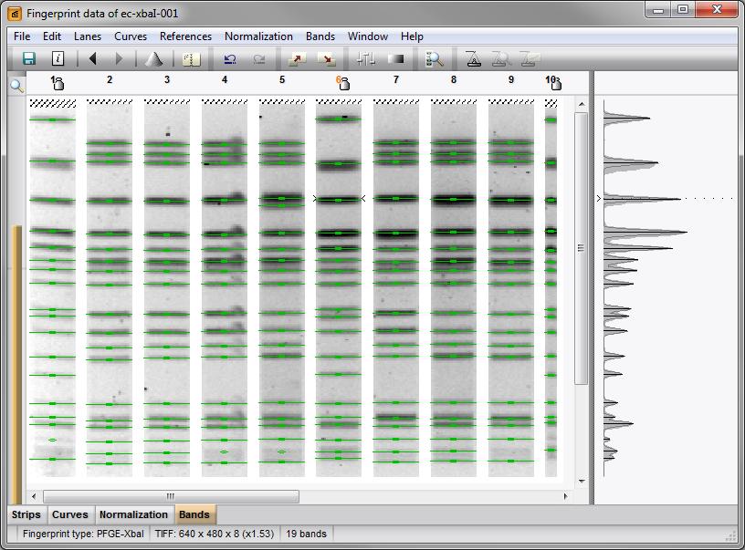 6. Linking fingerprint data to entries 11 Figure 15: The Bands tab. Congratulations! You have processed your first gel.