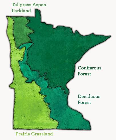 III. MN Biomes & Climate Change Will Steger Foundation Curriculum: a. Lesson 2: What defines Minnesota s biomes?