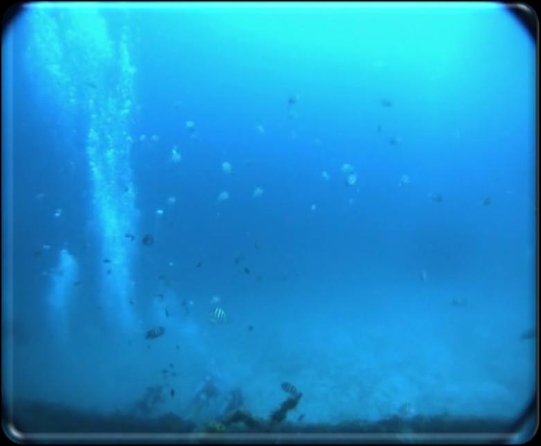 Difficult scenarios In certain settings, such as the underwater, robotic vision is particularly