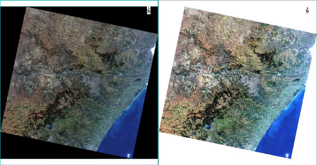 The Result of pre-processed LANDSAT 8 image Radiometrically, and