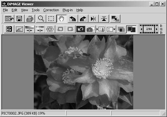 BASIC IMAGE PROCESSING Controlling the image display Fit-to-window button Normally, an image is displayed based on its size and resolution.
