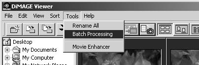 Except for RAW processing, the settings in the dialog box are applied equally to all images.